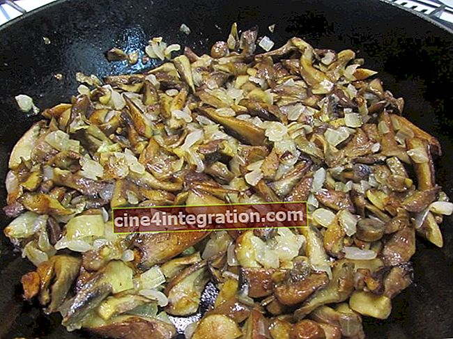 Funghi fritti con cipolle