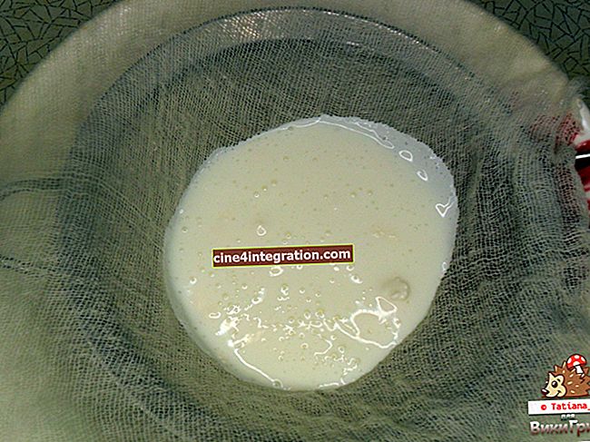 Kefir ai funghi di latte